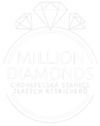 Million Diamonds